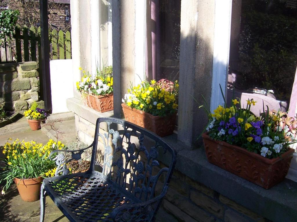 Spring Lodge Harrogate Exteriér fotografie